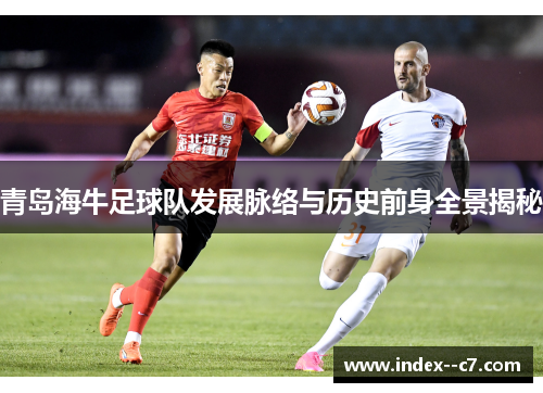 青岛海牛足球队发展脉络与历史前身全景揭秘