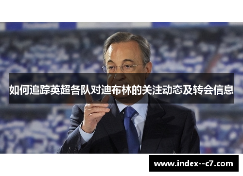 如何追踪英超各队对迪布林的关注动态及转会信息 如何追踪英超各队对迪布林的关注动态及转会信息